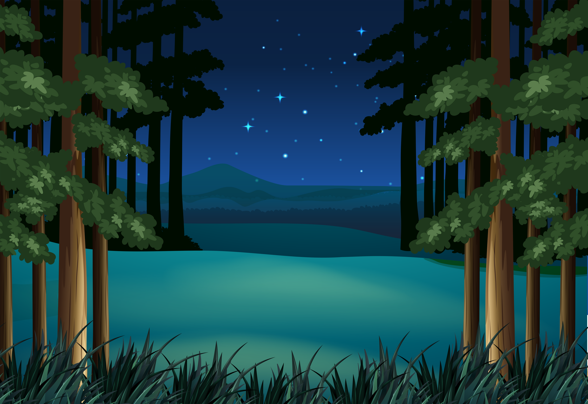 Forest scene at night with stars